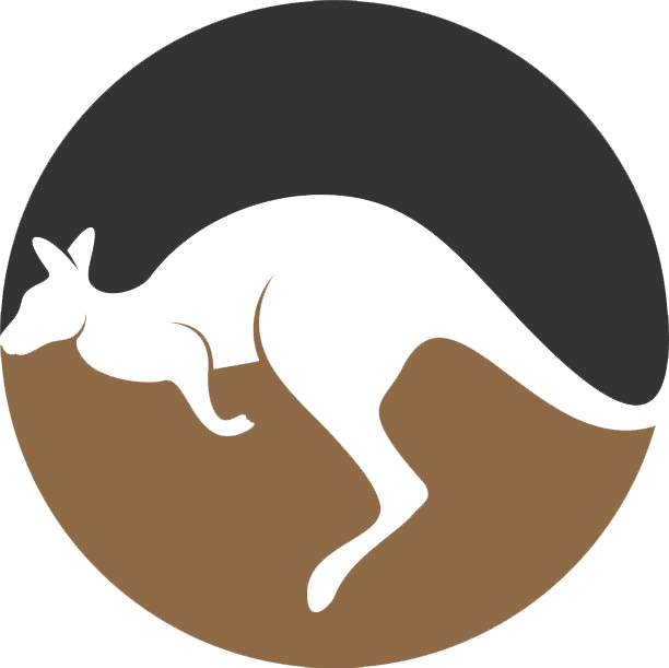 袋鼠加速器Logo